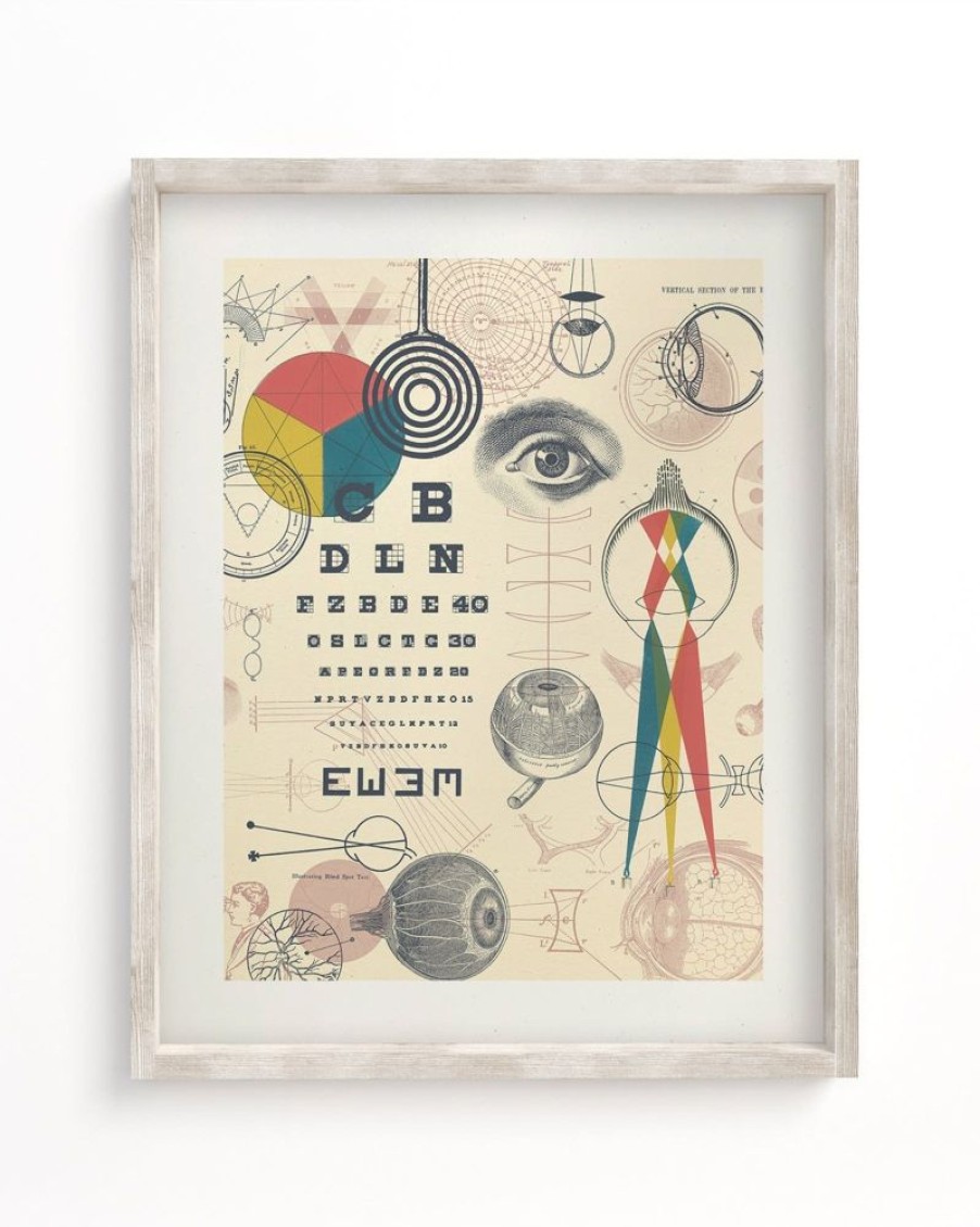 Wall Art Cognitive Surplus | Optics & Sight Scientific Illustration Museum Print