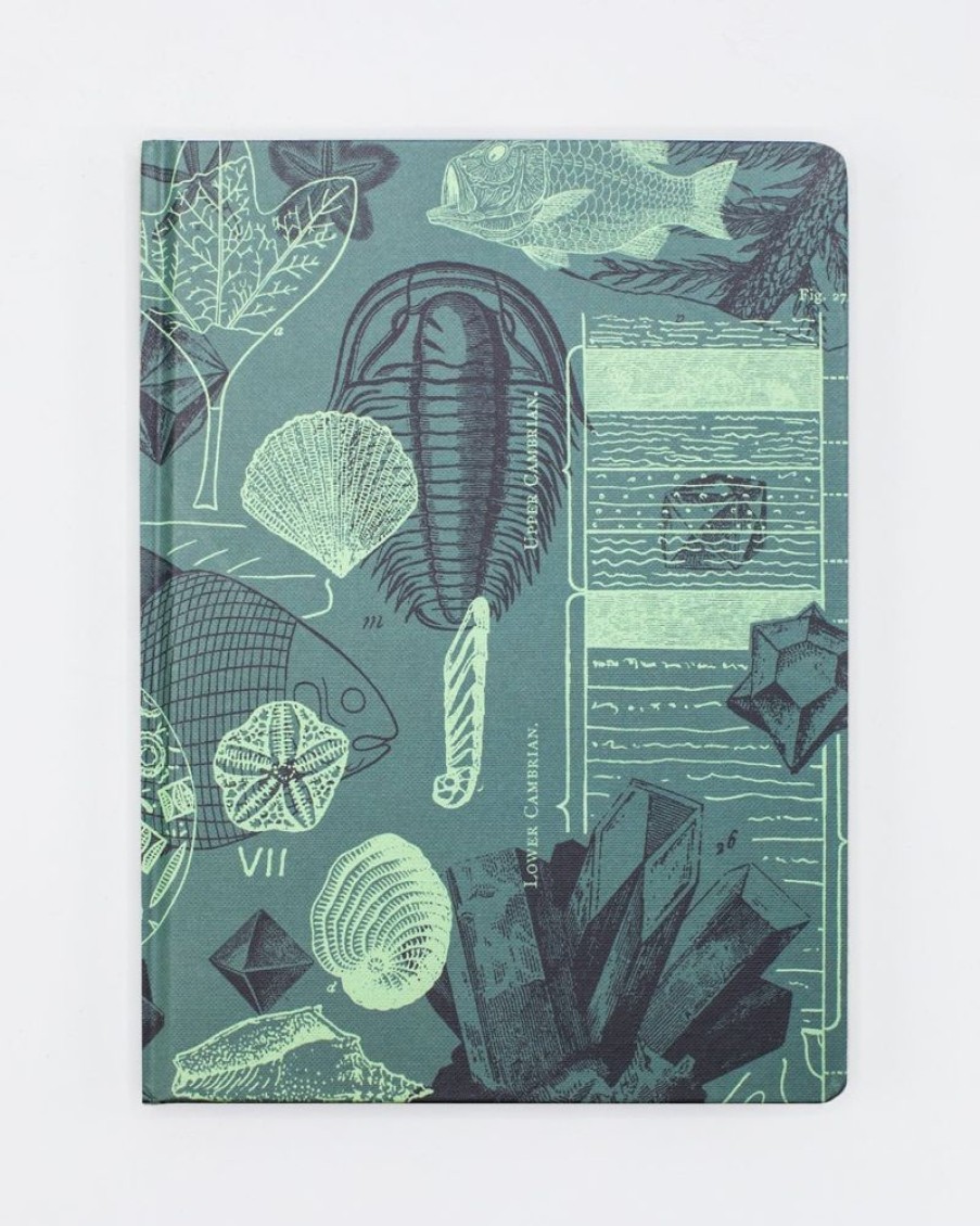 Notebooks Cognitive Surplus | Paleontology Hardcover Notebook | Dot Grid Journal