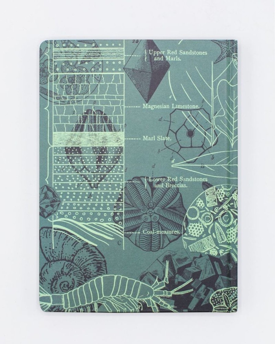 Notebooks Cognitive Surplus | Paleontology Hardcover Notebook | Dot Grid Journal