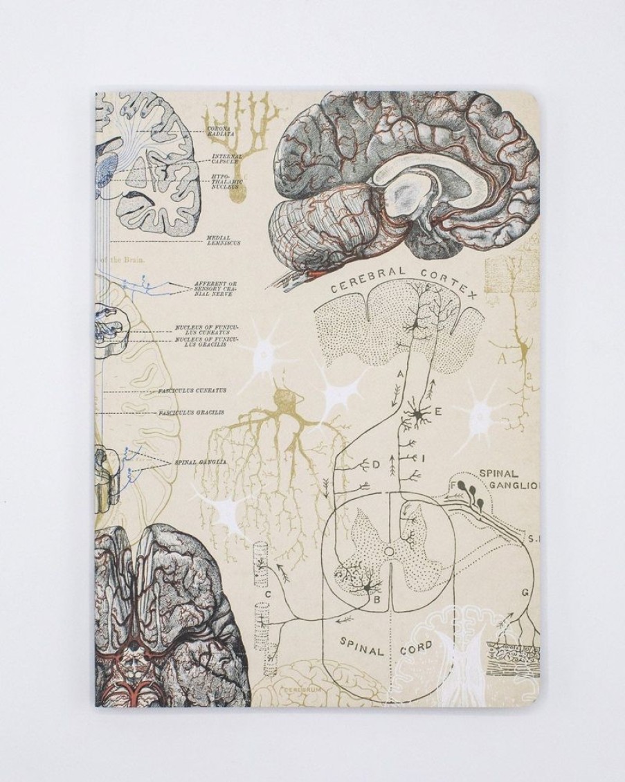 Notebooks Cognitive Surplus | Neuron Softcover Notebook | Brain Notebook