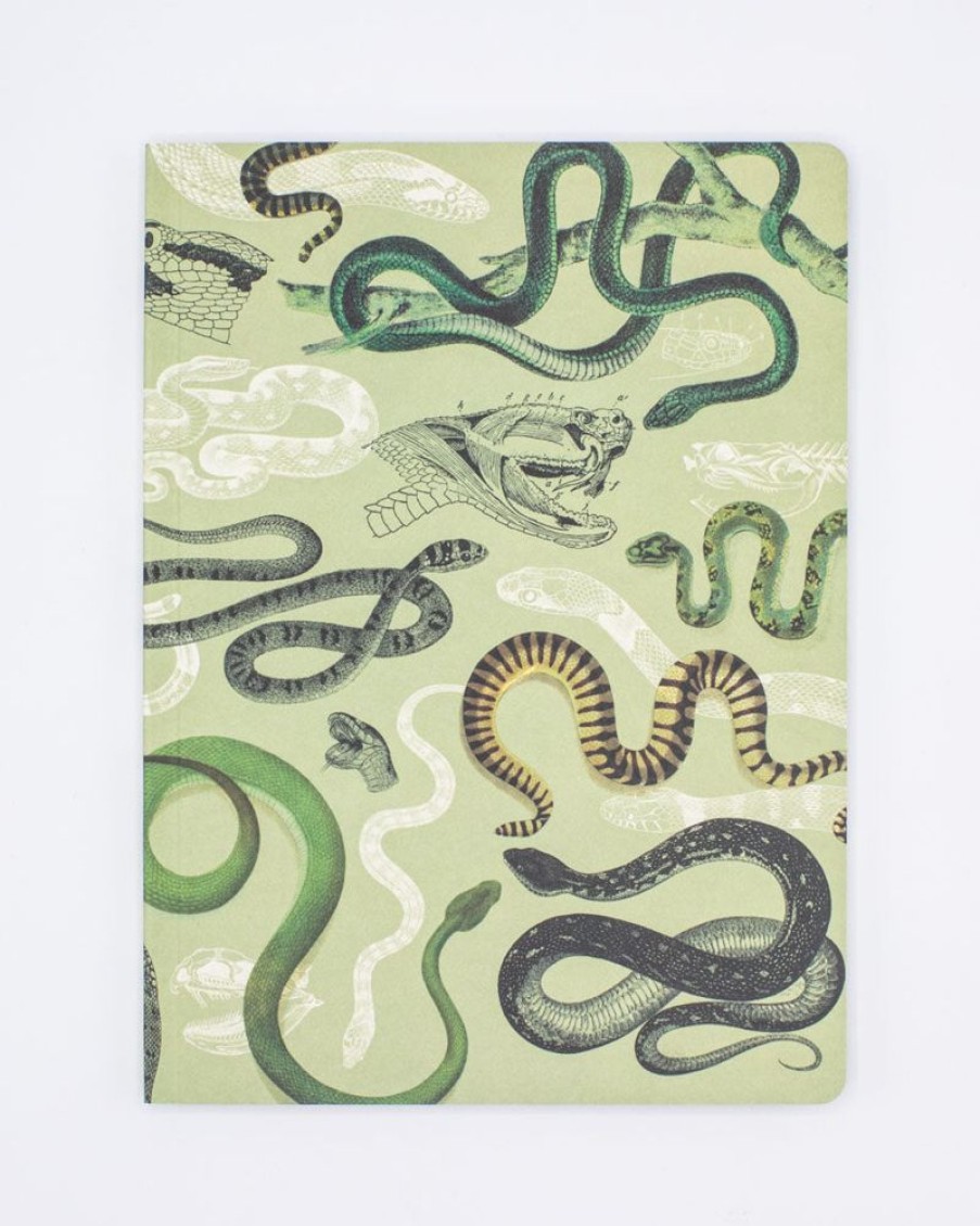 Notebooks Cognitive Surplus | Snakes Softcover Notebook - Dot Grid