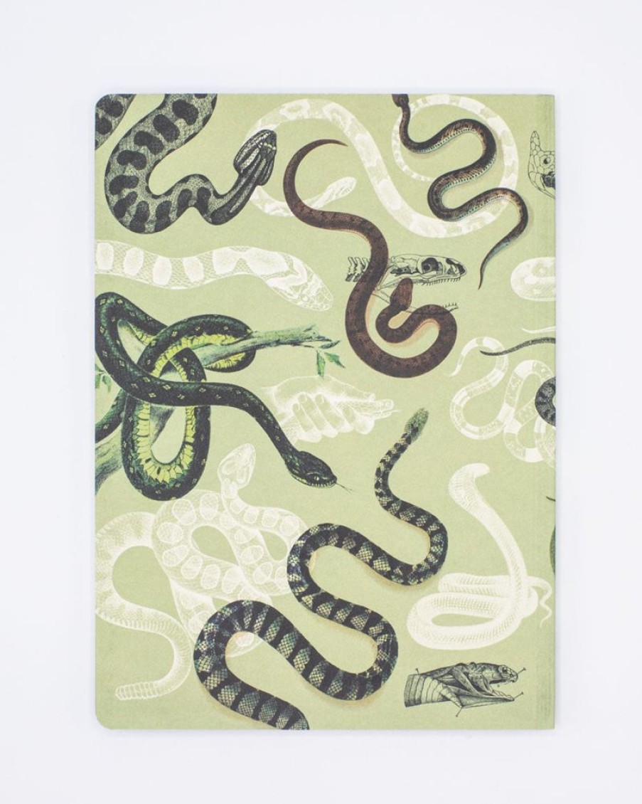 Notebooks Cognitive Surplus | Snakes Softcover Notebook - Dot Grid