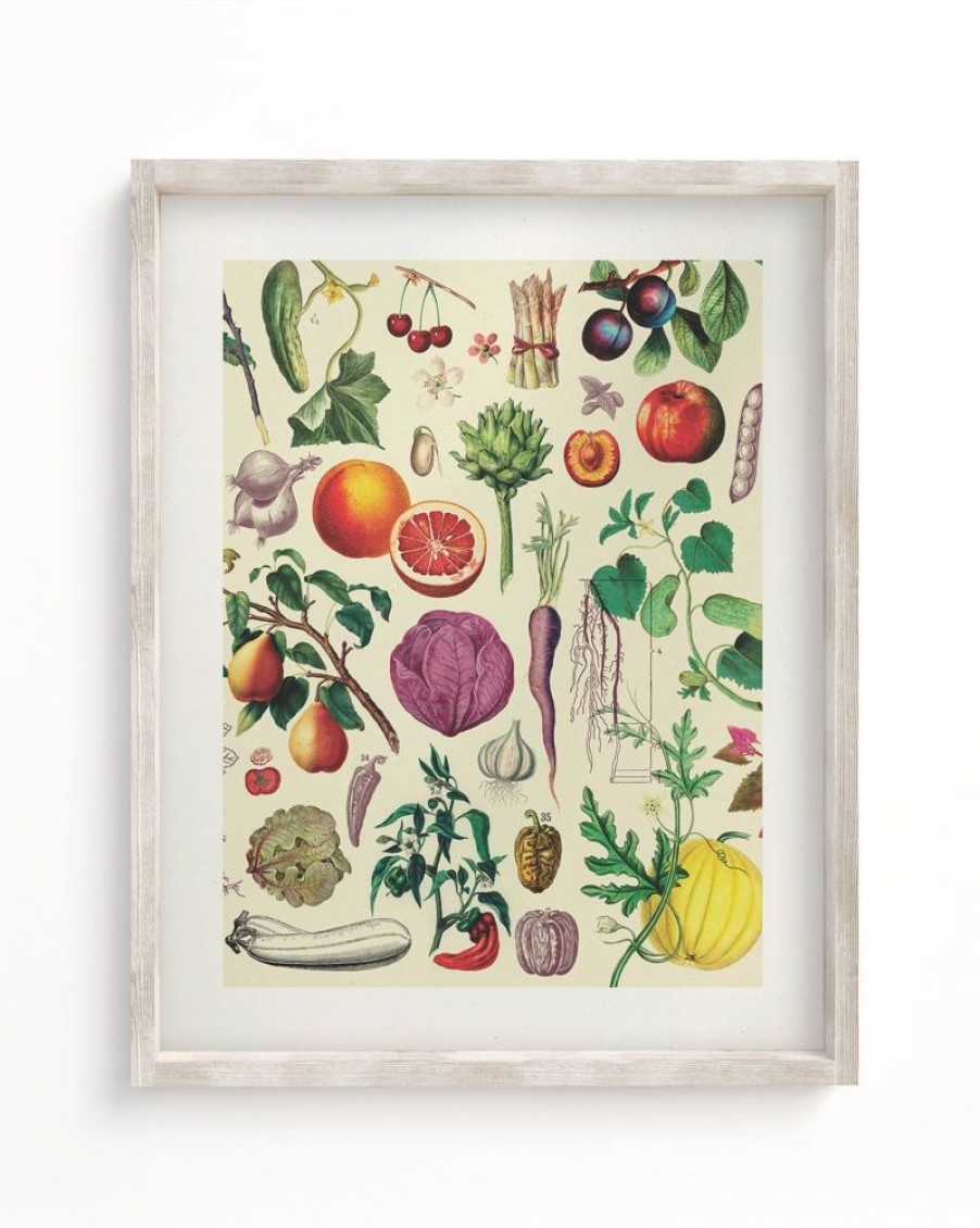 Wall Art Cognitive Surplus | Fruit & Vegetables Scientific Illustration Museum Print