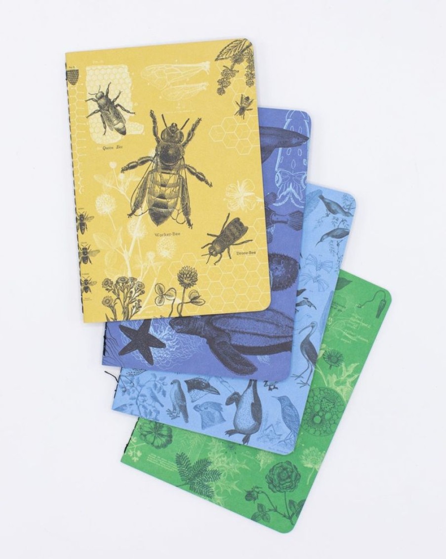 Notebooks Cognitive Surplus | Life Science Pocket Notebooks Set Of 4 | Bee Journal