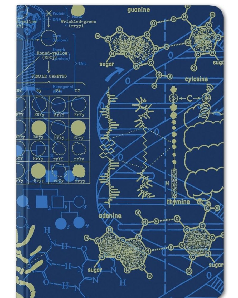 Notebooks Cognitive Surplus | Genetics Mini Hardcover Notebook | Dna