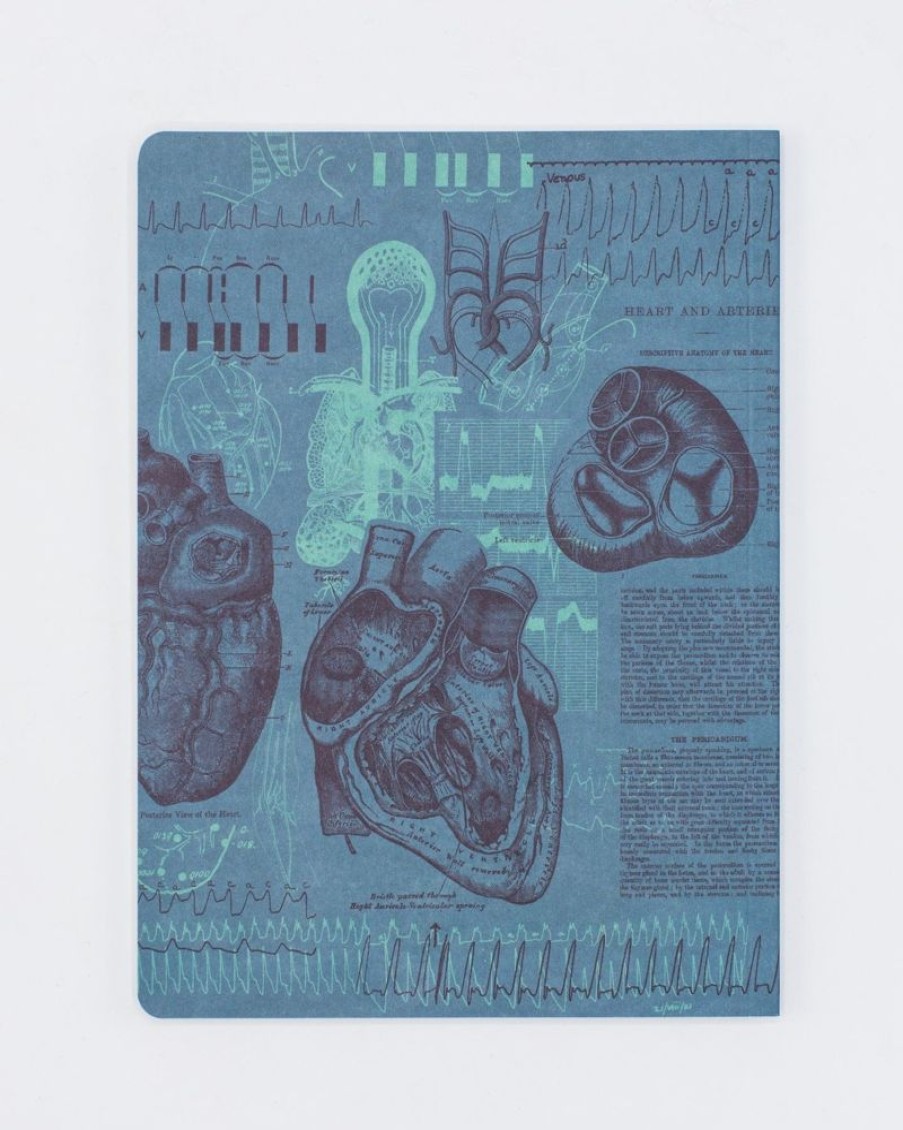 Notebooks Cognitive Surplus | Cardiology Notebook | Anatomical Heart Softcover Journal