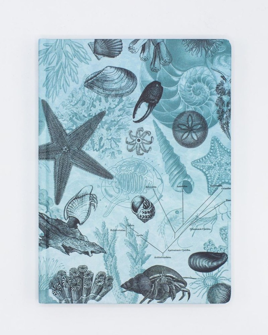 Notebooks Cognitive Surplus | Shallow Sea Hardcover Notebook | Biology Gifts