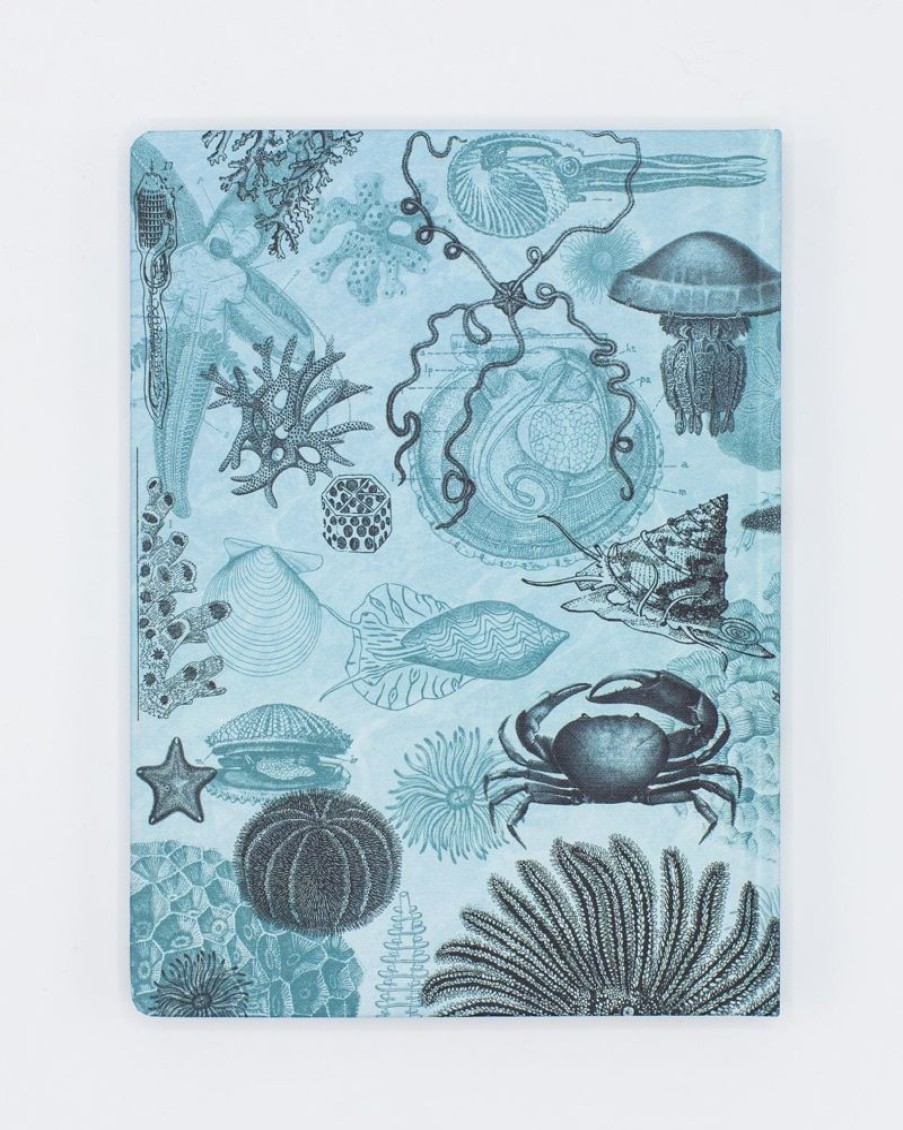 Notebooks Cognitive Surplus | Shallow Sea Hardcover Notebook | Biology Gifts