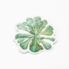 Stationery Cognitive Surplus | Sempervivum Canariense Succulent Sticker