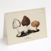 Stationery Cognitive Surplus | Morel Mushroom Card - Science Stationery | Cognitive Surplus