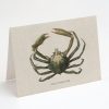 Stationery Cognitive Surplus | Spider Crab Greeting Card - Ocean Card | Cognitive Surplus