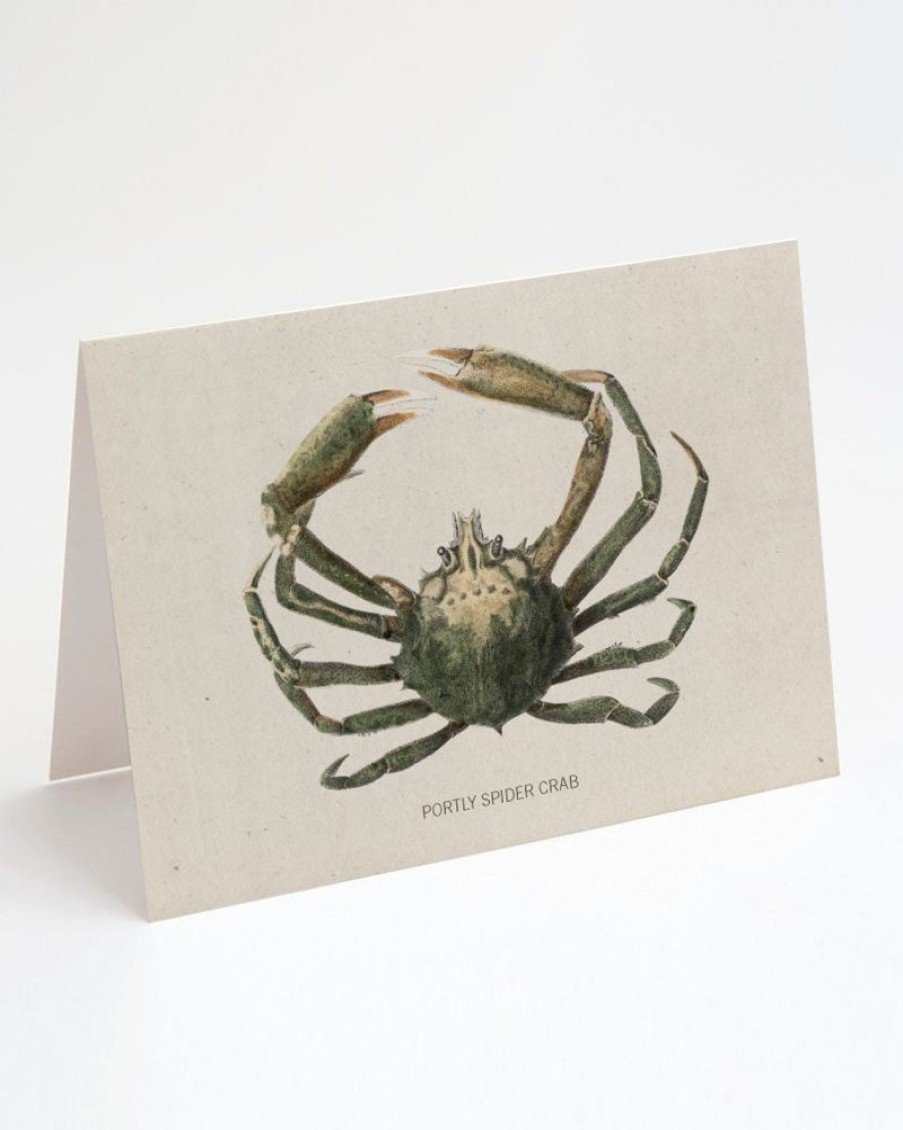 Stationery Cognitive Surplus | Spider Crab Greeting Card - Ocean Card | Cognitive Surplus