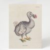 Stationery Cognitive Surplus | Dodo Bird Greeting Card - Science Stationery | Cognitive Surplus