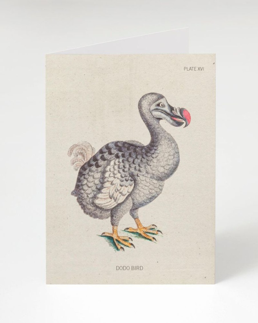 Stationery Cognitive Surplus | Dodo Bird Greeting Card - Science Stationery | Cognitive Surplus