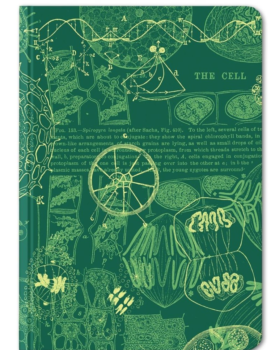 Notebooks Cognitive Surplus | Cell Biology Mini Hardcover Notebook | Microbiologist