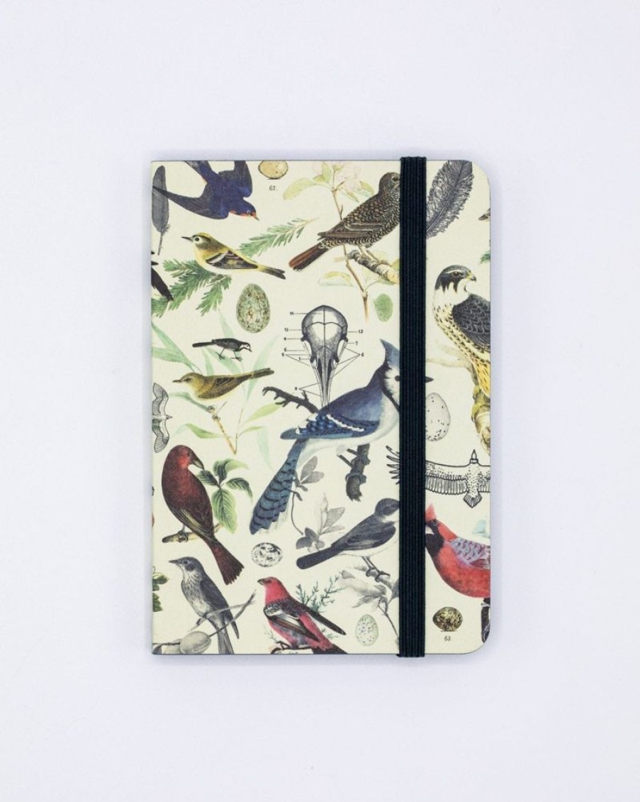 Notebooks Cognitive Surplus | Birds & Feathers Observation Softcover