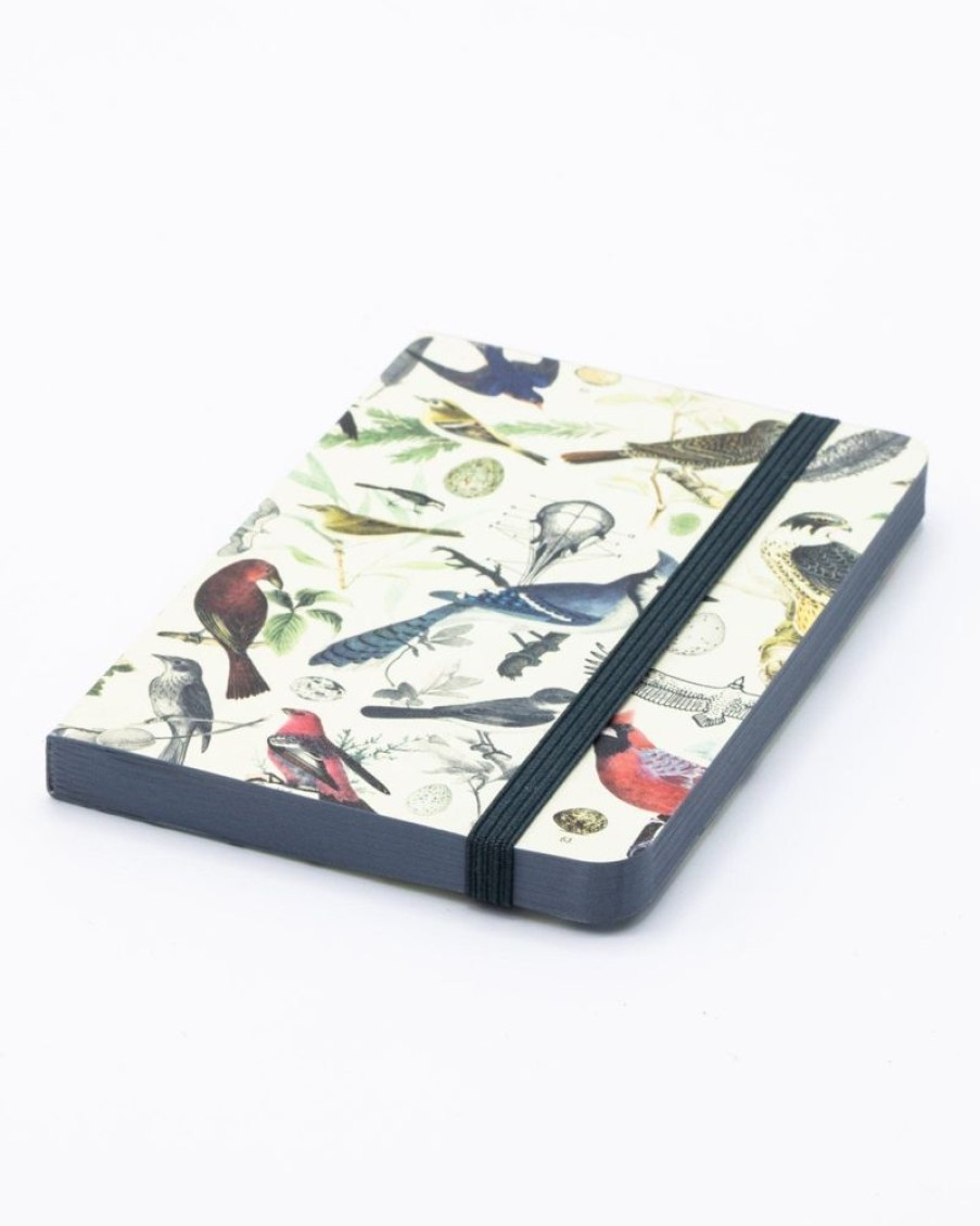 Notebooks Cognitive Surplus | Birds & Feathers Observation Softcover