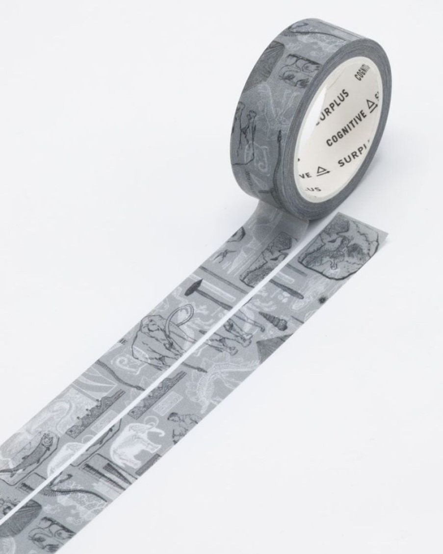 Stationery Cognitive Surplus | Paleontology Washi Tape