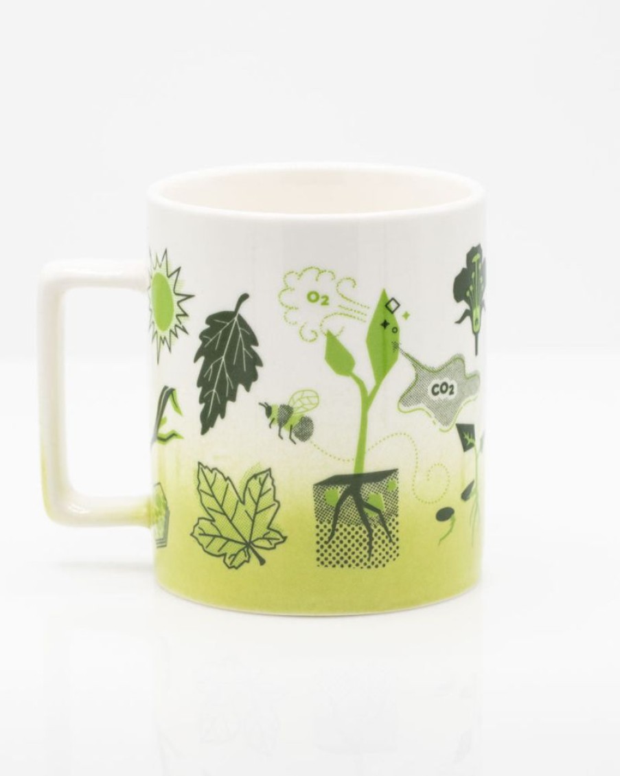 Kitchen + Bar Cognitive Surplus | Retro Botany Mug - Plants Mug | Cognitive Surplus