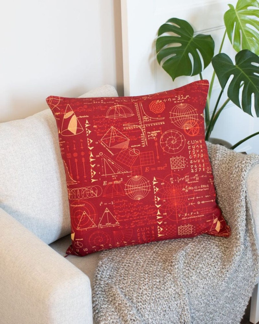 Home Cognitive Surplus | Equations That Changed The World Pillow Cover