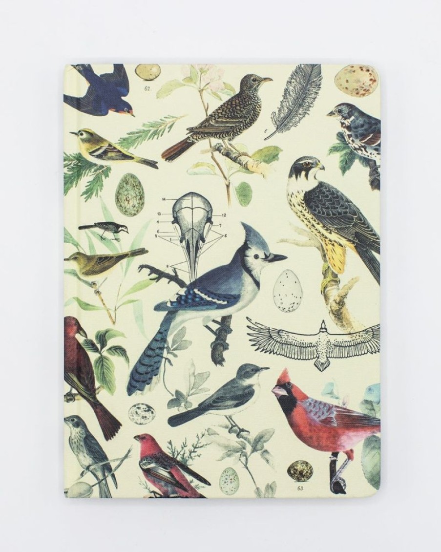 Notebooks Cognitive Surplus | Birds Of Prey Notebook - Hardcover | Ecology