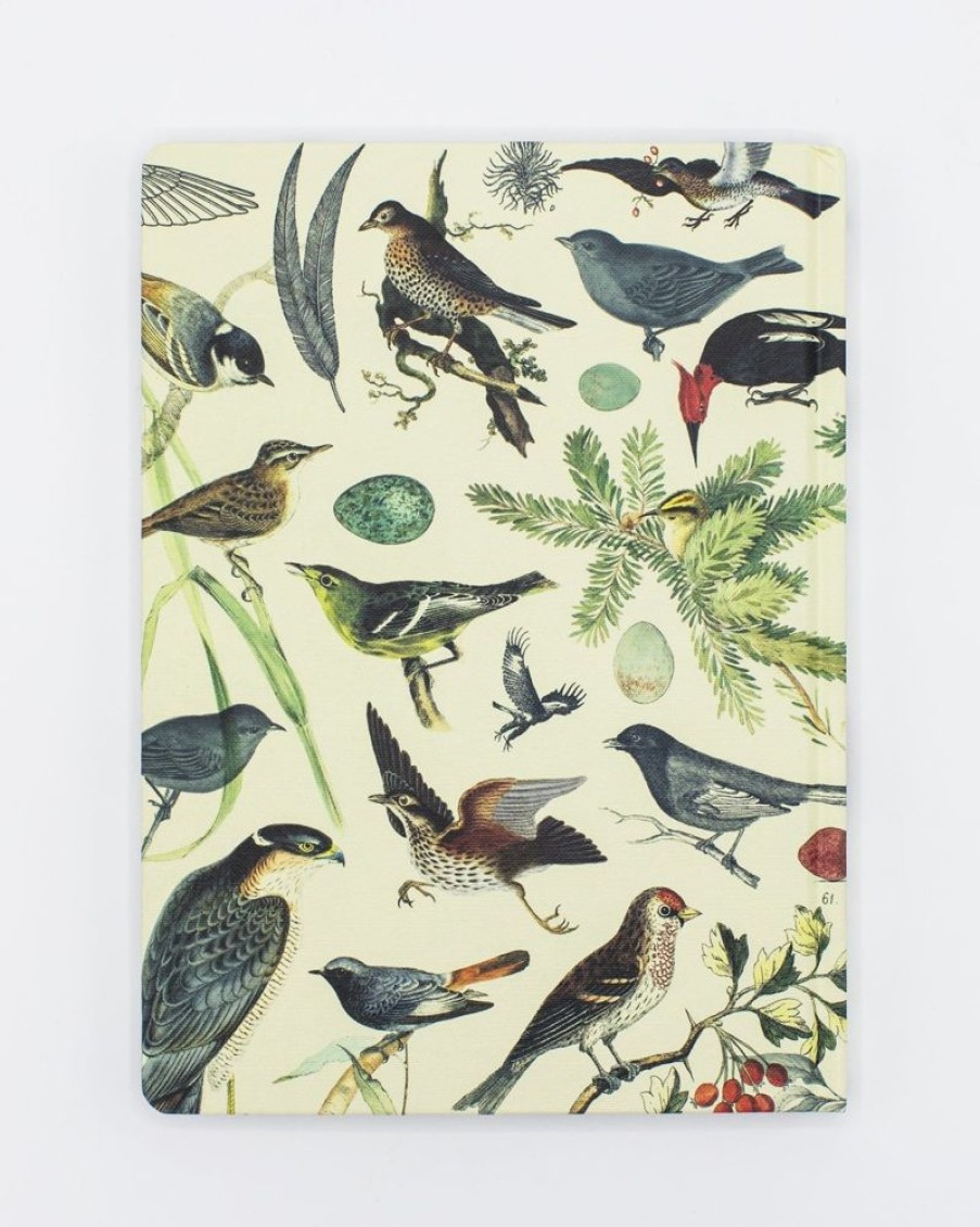 Notebooks Cognitive Surplus | Birds Of Prey Notebook - Hardcover | Ecology