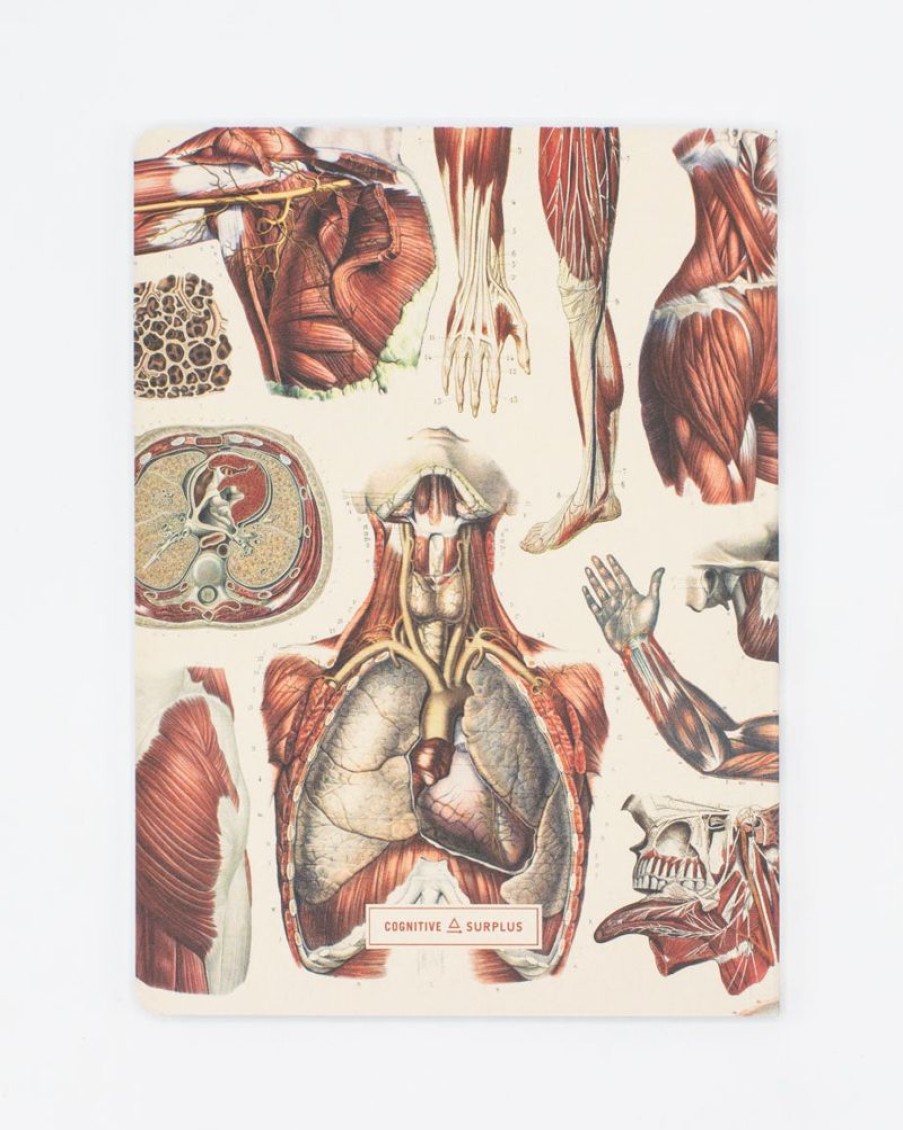 Notebooks Cognitive Surplus | Anatomy Muscles Softcover Notebook - Lined | Cognitive Surplus