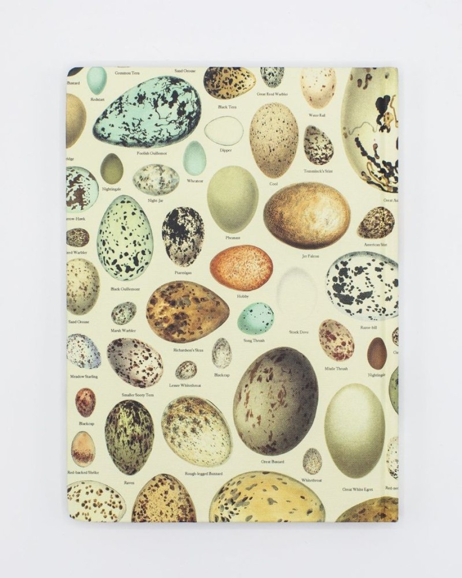 Notebooks Cognitive Surplus | Birds Hardcover Notebook | Ecology