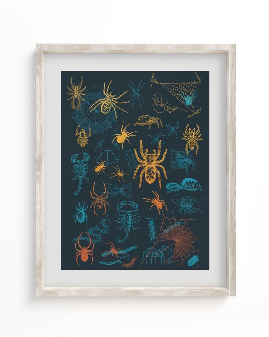 Wall Art Cognitive Surplus | Spiders Pl 2 Scientific Illustration Museum Print