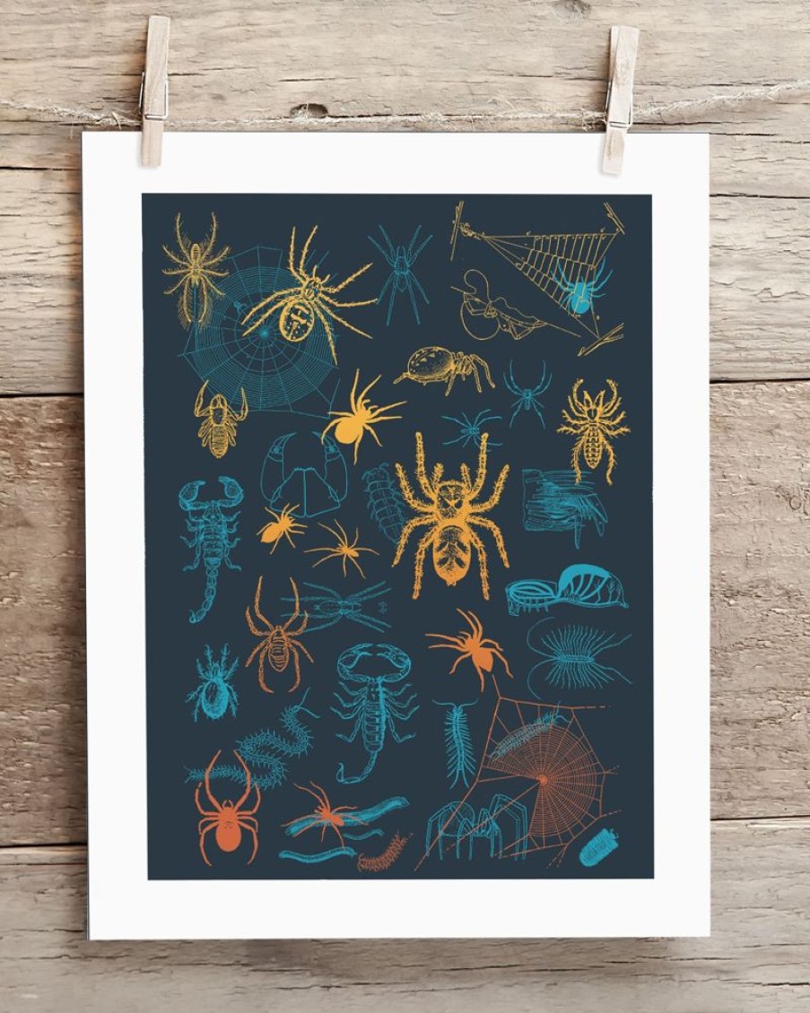 Wall Art Cognitive Surplus | Spiders Pl 2 Scientific Illustration Museum Print