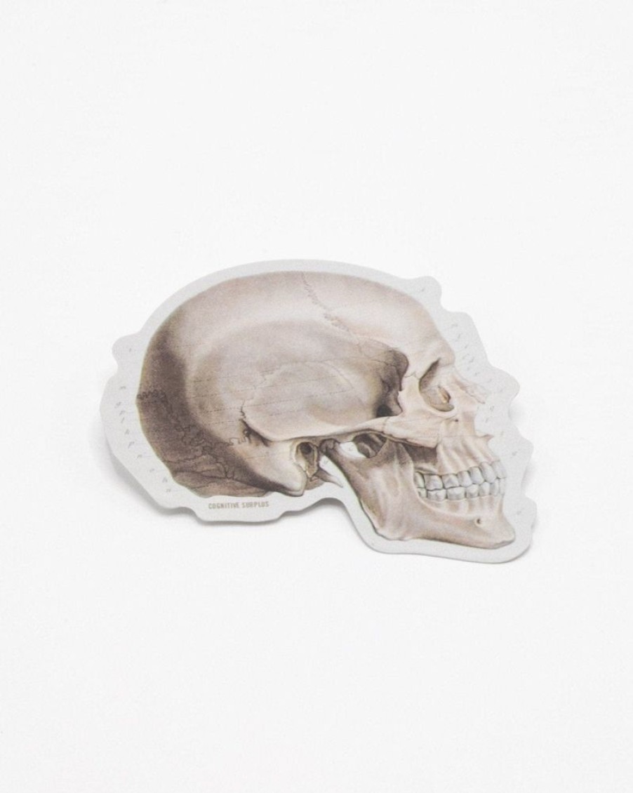 Stationery Cognitive Surplus | Skull Profile Sticker