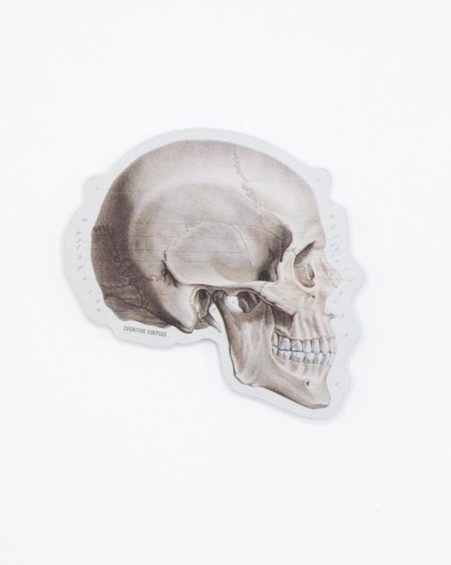 Stationery Cognitive Surplus | Skull Profile Sticker