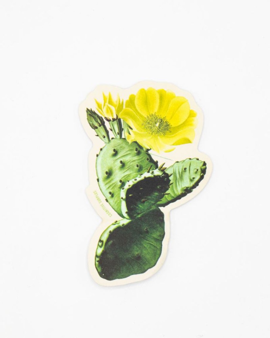 Stationery Cognitive Surplus | Prickly Pear Sticker