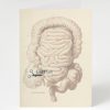 Stationery Cognitive Surplus | Appendex Surgery Card - Science Stationery | Cognitive Surplus