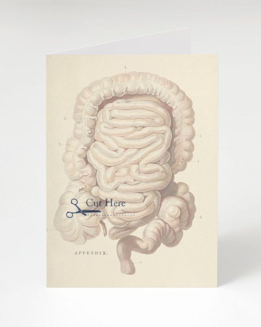 Stationery Cognitive Surplus | Appendex Surgery Card - Science Stationery | Cognitive Surplus