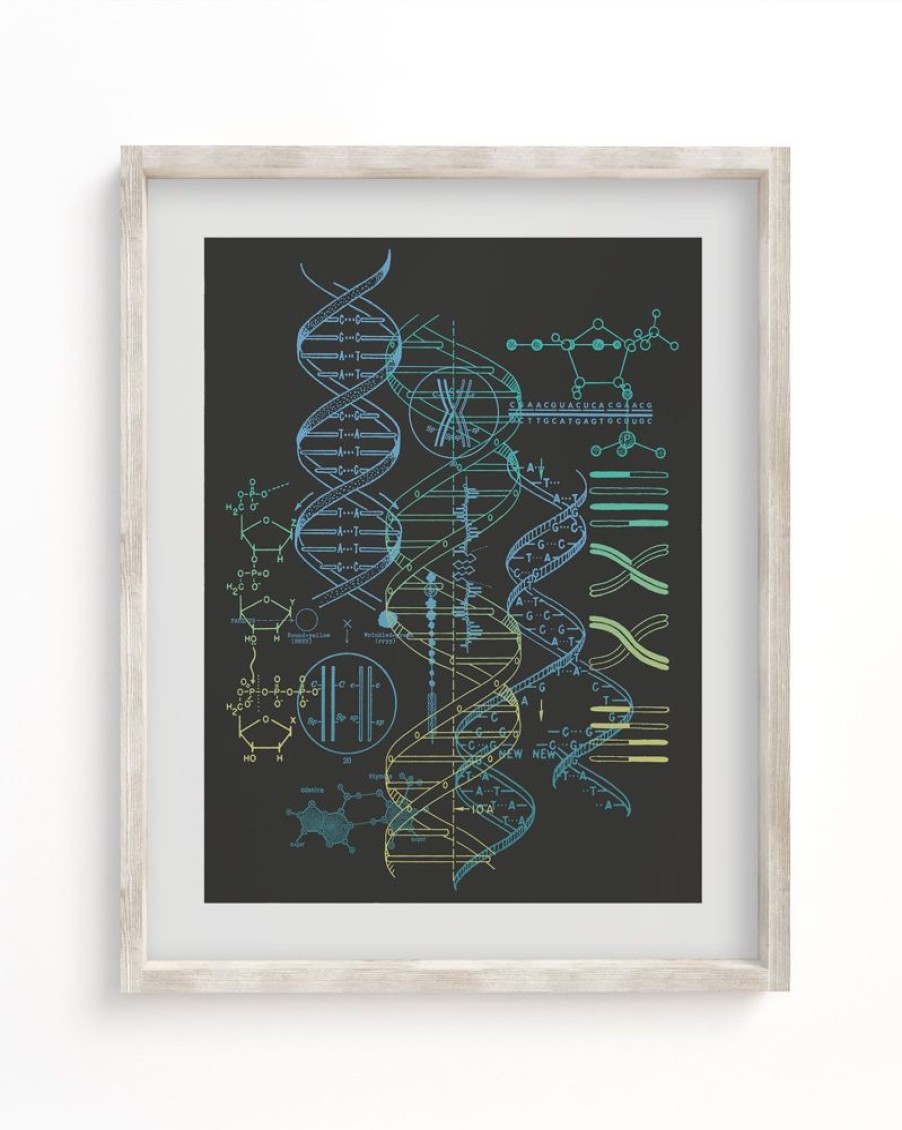 Wall Art Cognitive Surplus | Genetics: Dna Museum Print | Pharmacist Gift