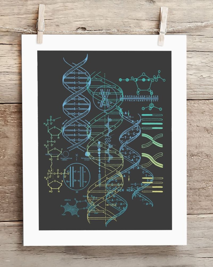 Wall Art Cognitive Surplus | Genetics: Dna Museum Print | Pharmacist Gift