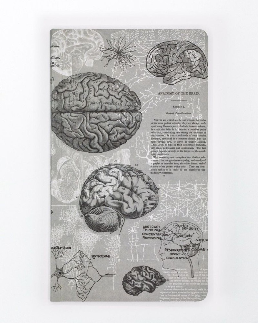 Notebooks Cognitive Surplus | Brain Anatomy Yearly Planner