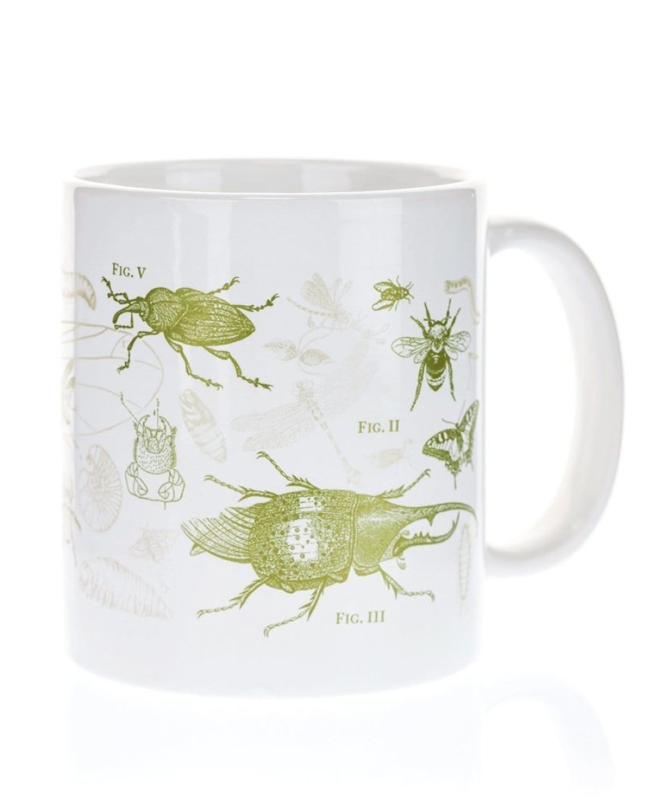 Kitchen + Bar Cognitive Surplus | Insect Mug 20 Oz | Science Mug