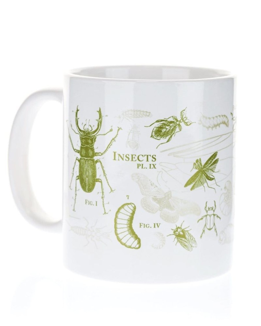 Kitchen + Bar Cognitive Surplus | Insect Mug 20 Oz | Science Mug