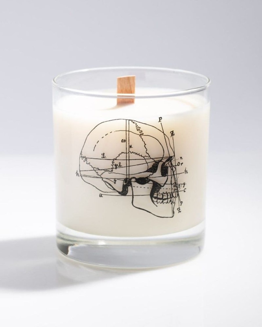 Home Cognitive Surplus | Human Skull Cocktail Candle