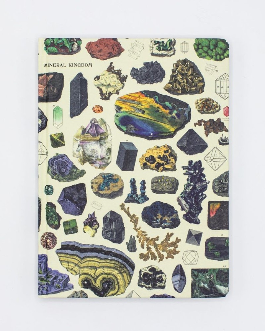 Notebooks Cognitive Surplus | Gems & Minerals Hardcover - Blank