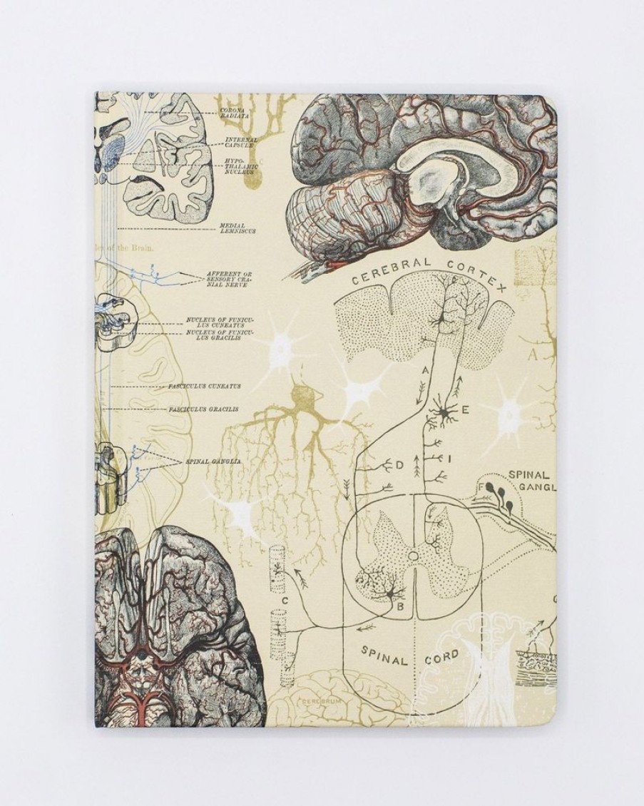 Notebooks Cognitive Surplus | Brain & Neuroscience Hardcover Notebook