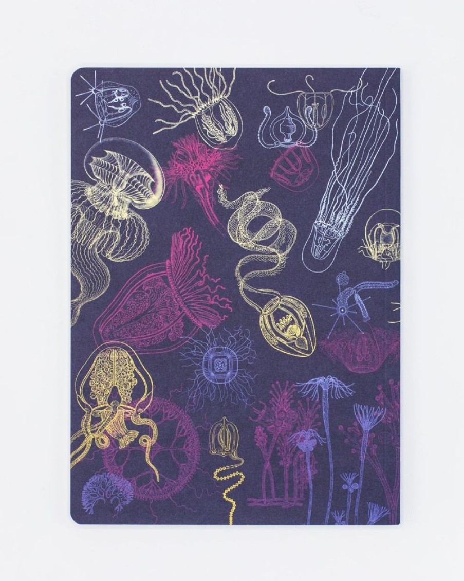 Notebooks Cognitive Surplus | Jellyfish Notebook - Softcover | Jellyfish Print