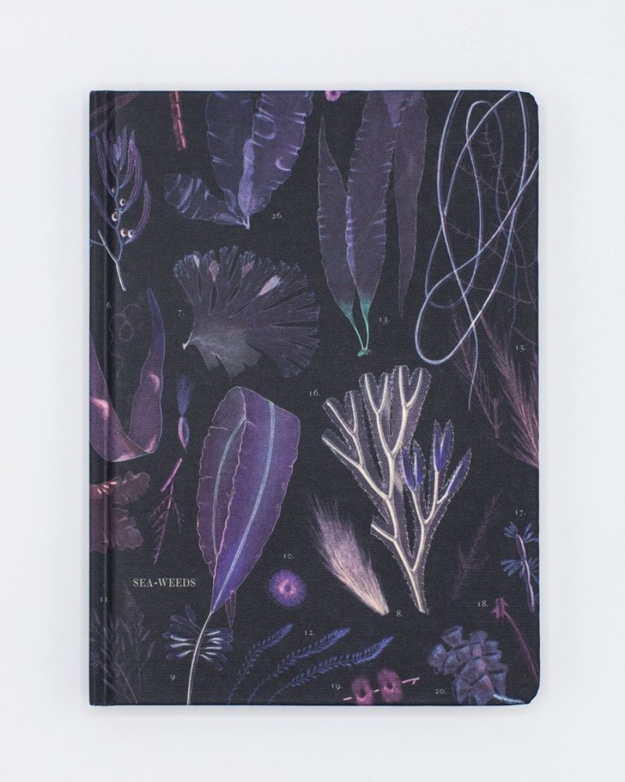 Notebooks Cognitive Surplus | Octopus Print Notebook - Hardcover | Marine Biology