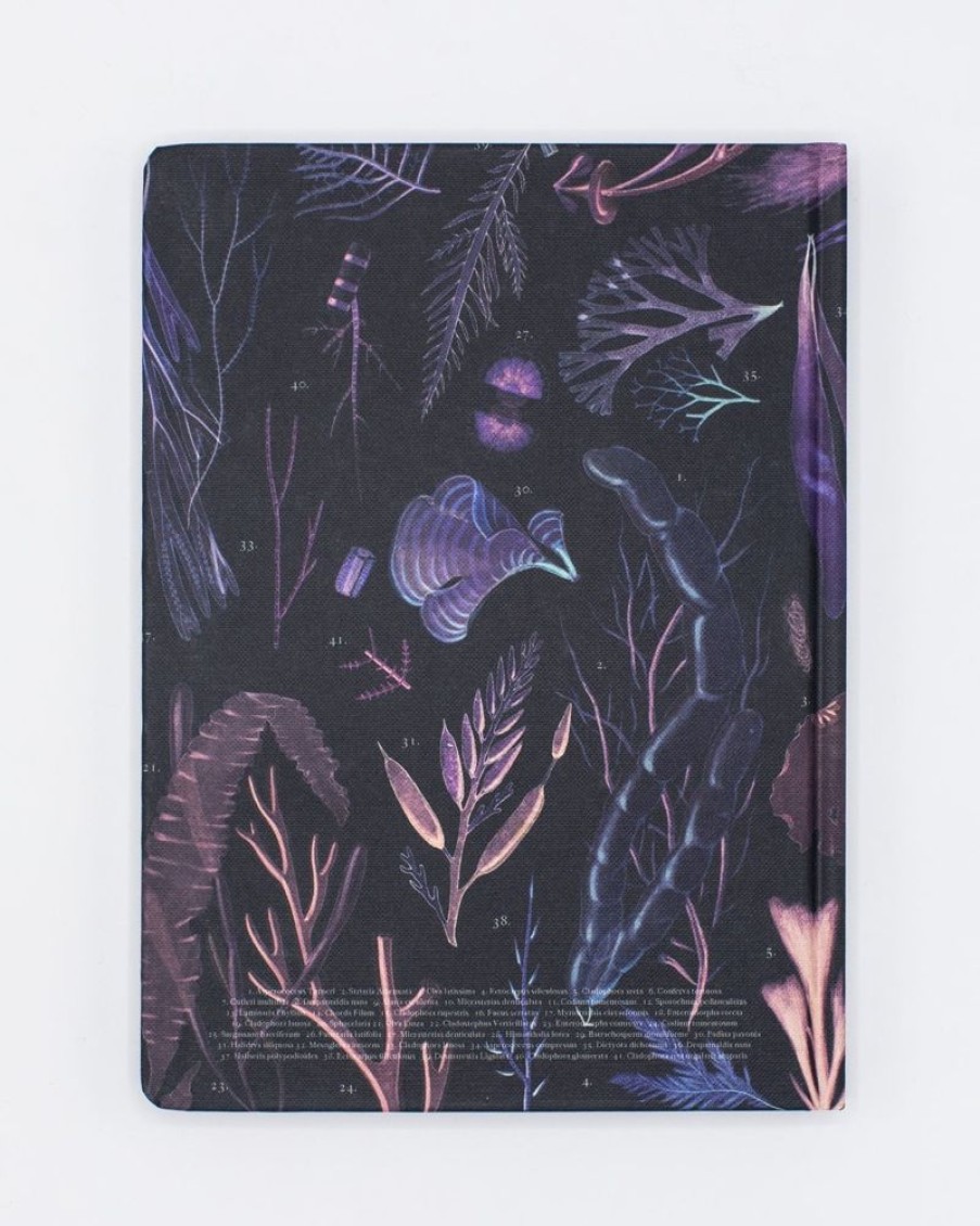 Notebooks Cognitive Surplus | Octopus Print Notebook - Hardcover | Marine Biology