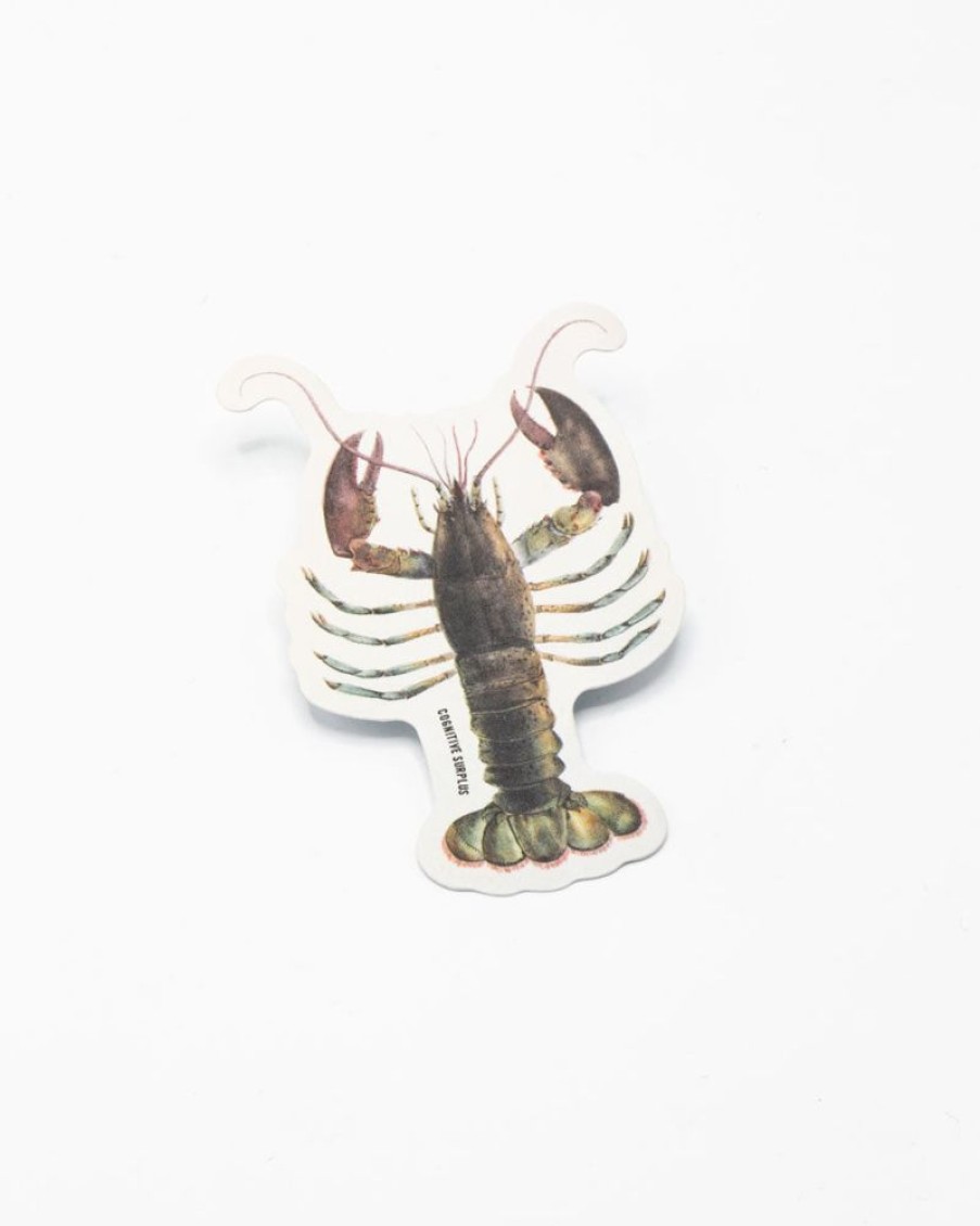 Stationery Cognitive Surplus | Lobster Sticker