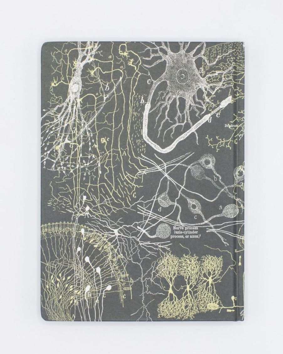 Notebooks Cognitive Surplus | Neuron Hardcover Notebook | Pharmacist Gift