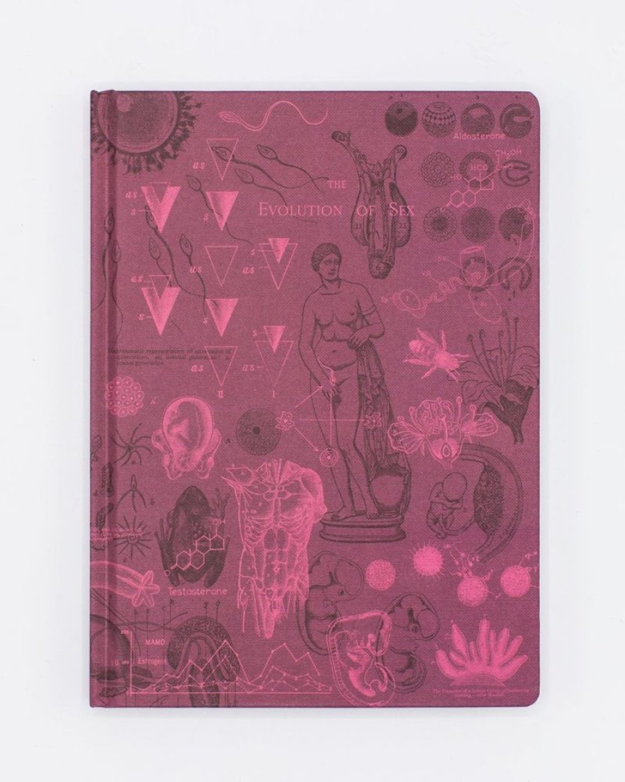 Notebooks Cognitive Surplus | Reproduction Notebook - Hardcover | Medicine Gift