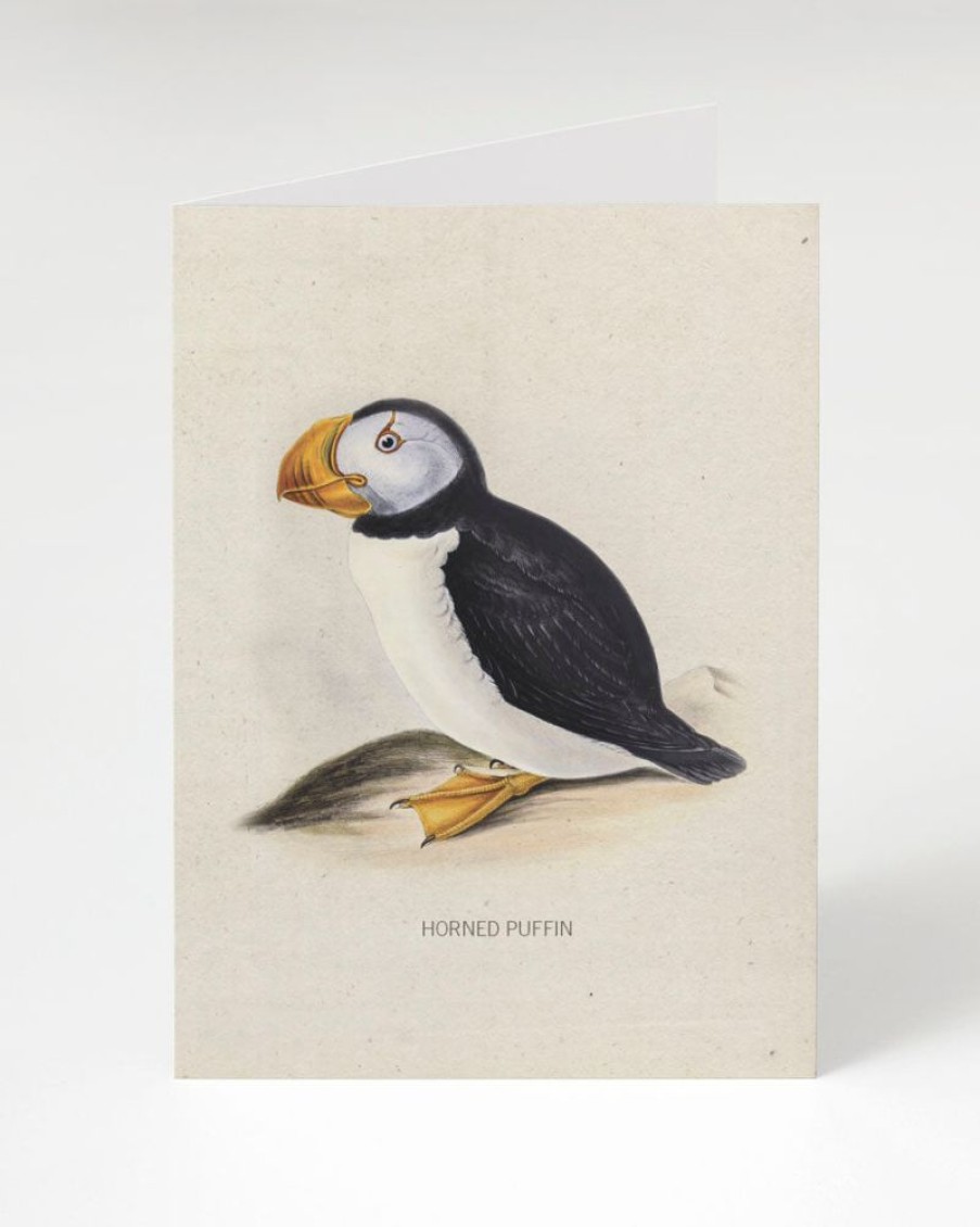 Stationery Cognitive Surplus | Puffin Greeting Card - Bird Card | Cognitive Surplus